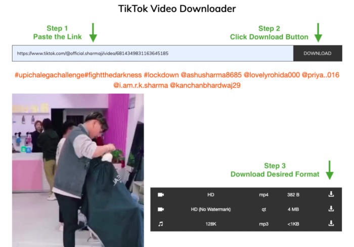 tik tok video downloader online